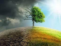 Environment & Ecology - 3 | Current Affairs & Hindu Analysis: Daily, Weekly & Monthly - UPSC