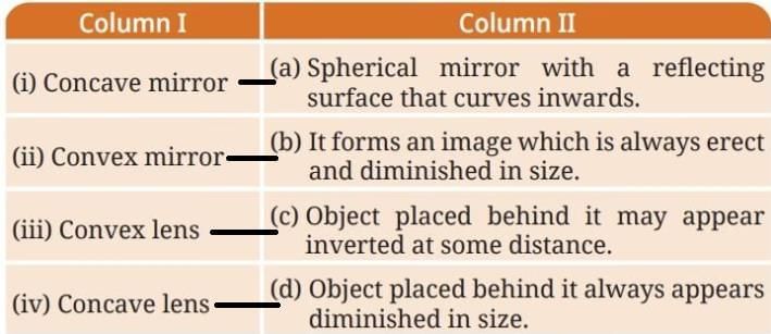 Light: Mirrors and Lenses NCERT Solutions | Science Curiosity Class 8 -  New NCERT
