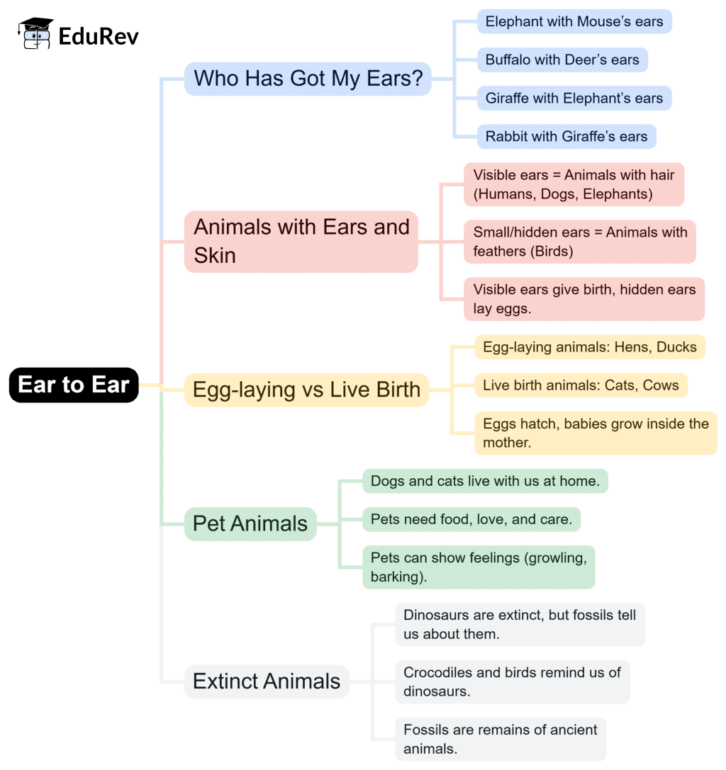 Mind Map: Ear To Ear | EVS for Class 4