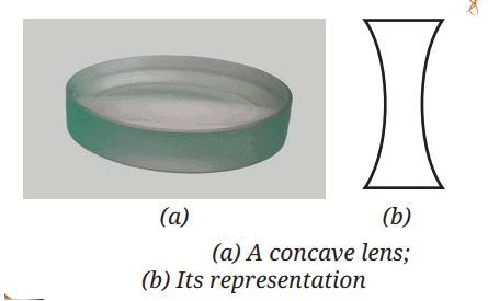 Light: Mirrors and Lenses Chapter Notes | Chapter Notes For Class 8