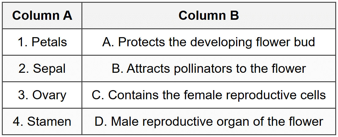 Section C: Match the Column