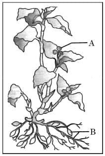 Long Answer Type Questions (5 Marks)