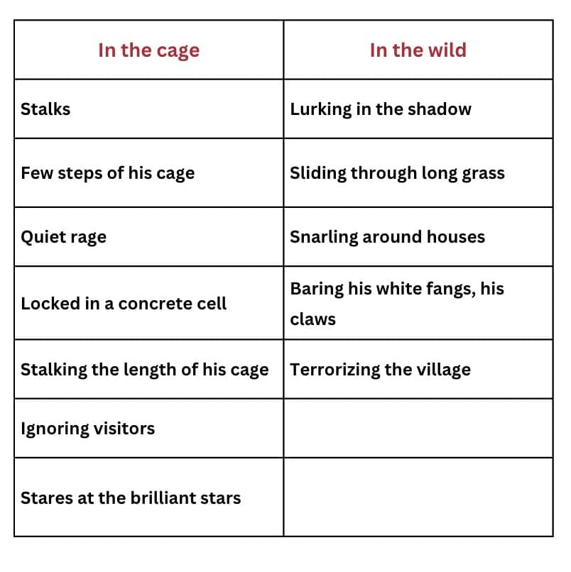 NCERT Solutions for Class 10 English First Flight Chapter 3 - A Tiger in the Zoo