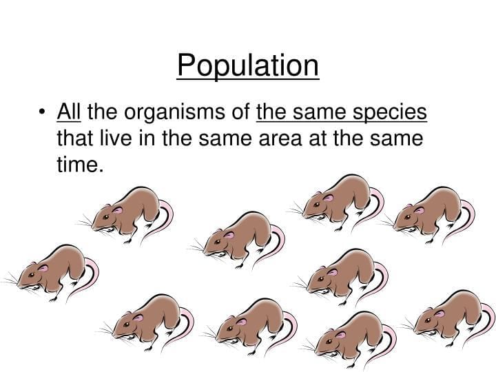 MCQ (Solution) - How Nature Works in Harmony | Science Curiosity Class 8 -  New NCERT