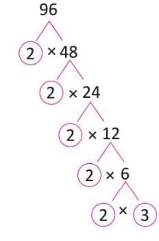 Factors and Multiples Chapter Notes | Mathematics Class 4 ICSE