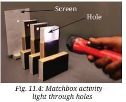 Activity Description