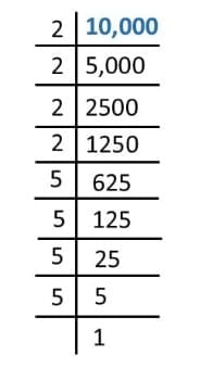 Prime Time NCERT Solutions | Mathematics for Class 6