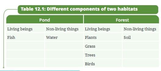 NCERT Based Activity: How Nature Works in Harmony | Science Curiosity Class 8 -  New NCERT
