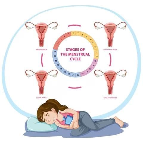 Unit Test Solutions: Adolescence: A Stage of Growth and Change | Science (Curiosity) Class 7 - New NCERT