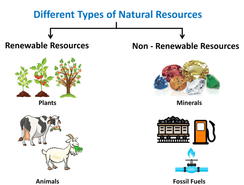 Natural Resources and Their Use Chapter Notes | Social Science Class 8 - New NCERT