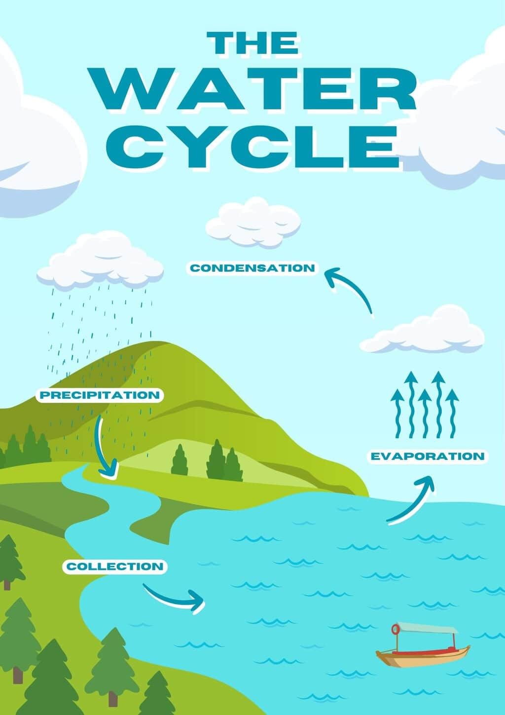 Learning Poster: Water - The Essence of Life | Our Wondrous World  Class 5 - New NCERT