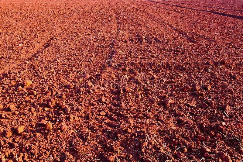 Laterite Soil