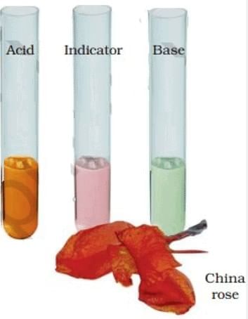Introduction to Acid and Base Chapter Notes | Chemistry for SSS 2