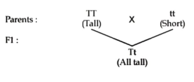 Previous Year Questions 2025