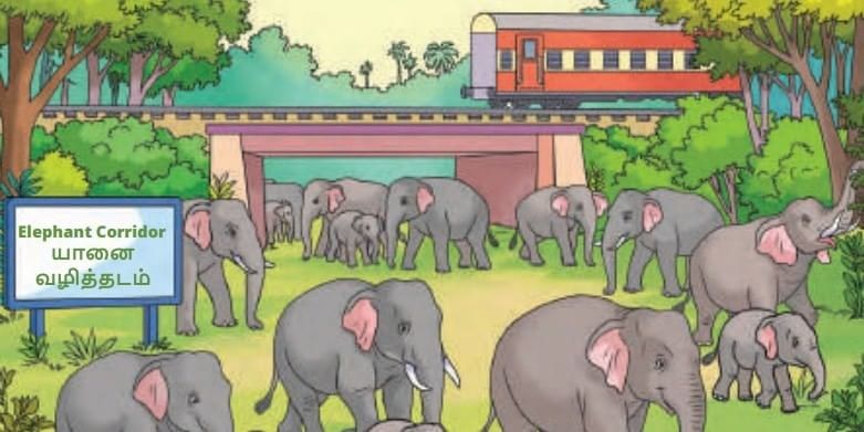 How Nature Works in Harmony Chapter Notes | Chapter Notes For Class 8