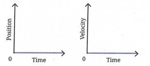 Graphs for Newton`s First Law