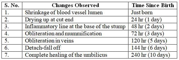 Infanticide Foeticides and Child Abuse Chapter Notes | Forensic Medicine and Toxicology (FMT) - NEET PG