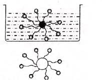 Water Chapter Notes | Chemistry for SSS 1