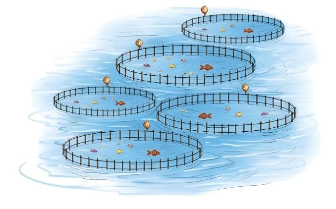 Let us explore (Page 96)