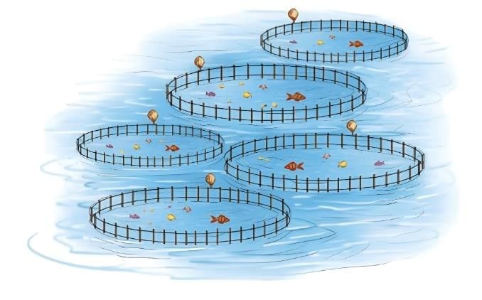 NCERT Solutions: Verghese Kurien — I Too Had A Dream