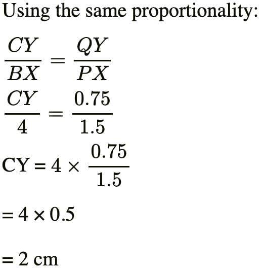 Previous Year Questions 2025