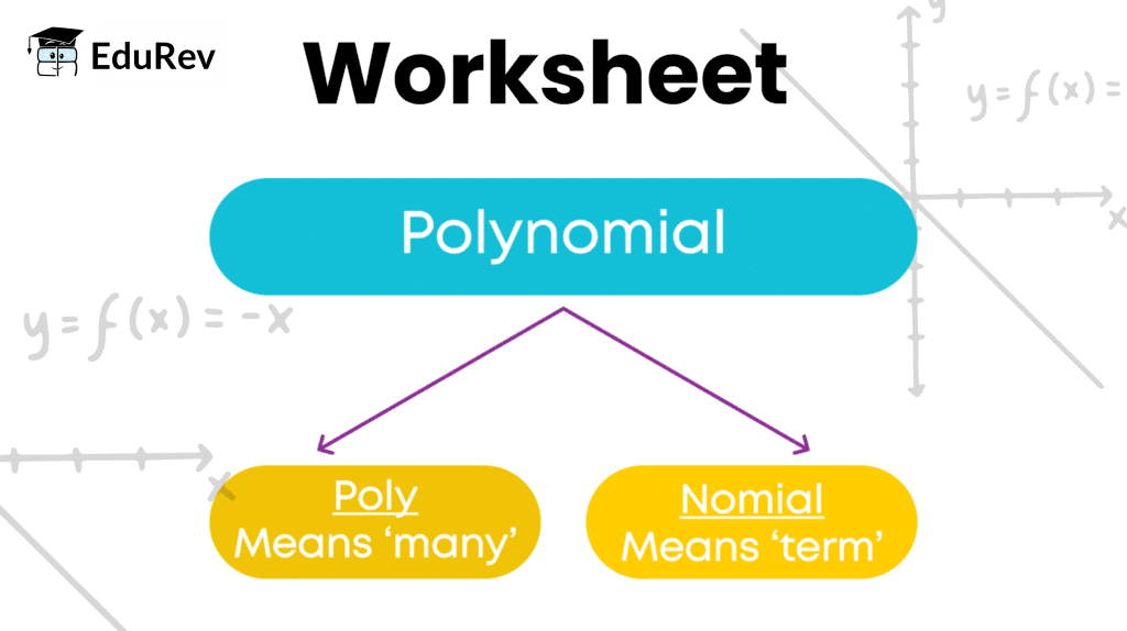 Polynomials Class 10 Worksheet Maths Chapter 2