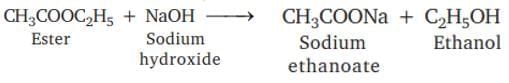 Carbon Compounds Chapter Notes | Earth and Environmental Science for Year 12
