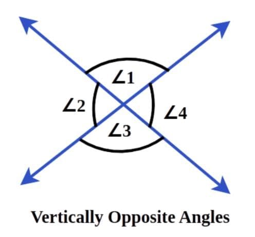 Unit Test (Solutions): Lines & Angles