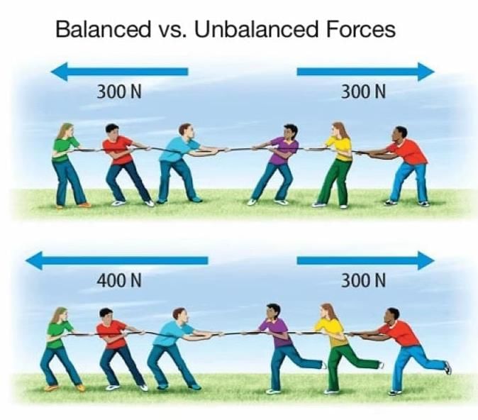 Exploring Forces Chapter Notes | Chapter Notes For Class 8