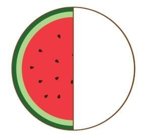 Worksheet Solutions: Fractions | Mathematics for Class 3
