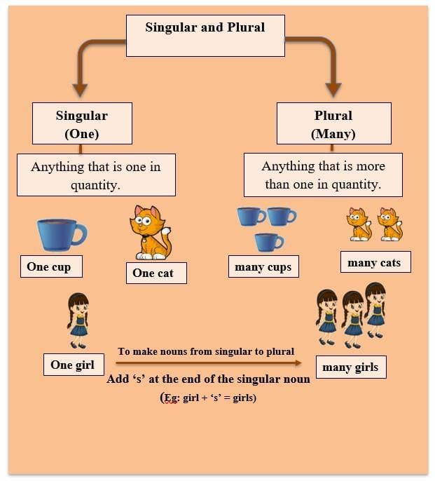 Olympiad Notes: Word Power | English Olympiad Class 1