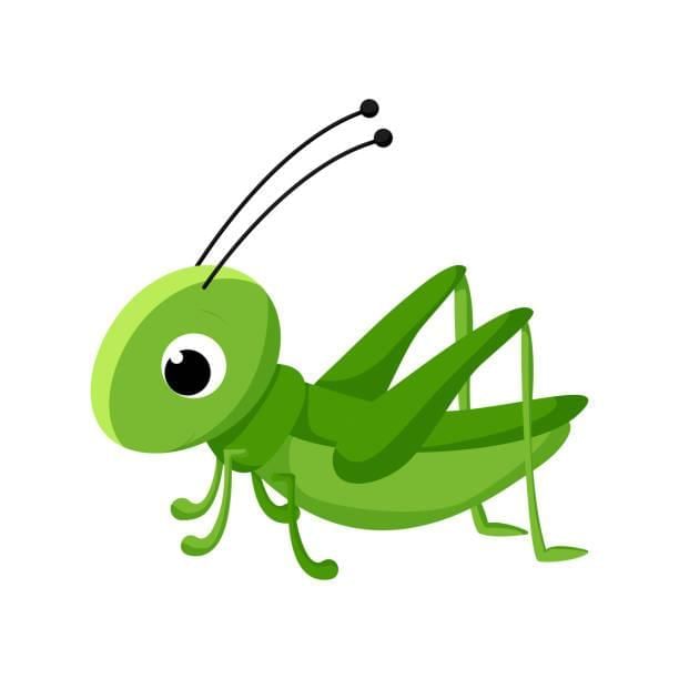 Important Questions: Neem Baba | English for Class 6