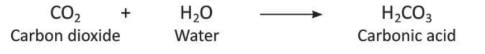 Carbon and Its Compounds Chapter Notes | Chemistry Class 8 ICSE