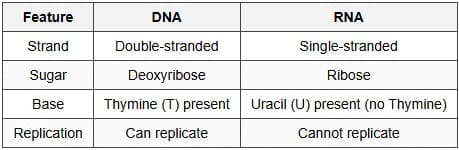 Very Short Answer Type Questions