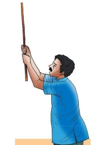 Worksheet Solutions: दो गौरैया | Worksheets with Solutions for Class 8