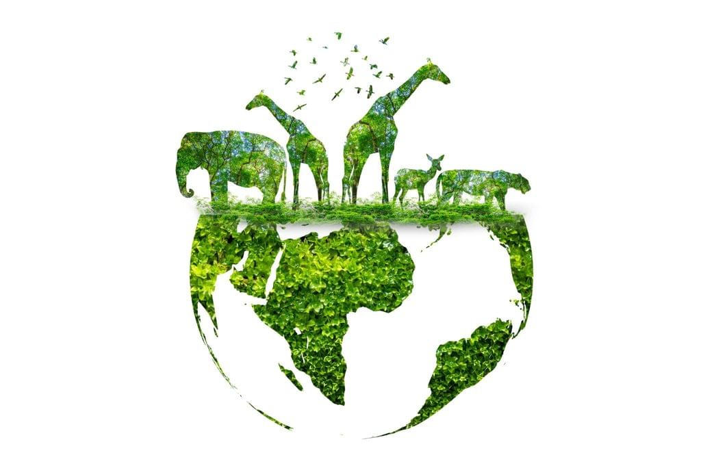 Contemporary Issues and Emerging Trends | Environmental Law - CLAT PG