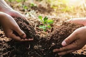 Soils of India - 1 Class 4 Worksheet SST