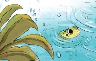 Detailed Summary: The Frog | English Santoor Class 5 - New NCERT