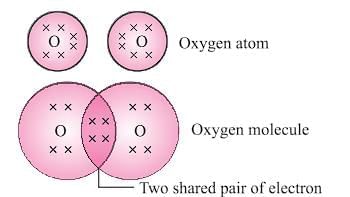 Carbon Compounds Chapter Notes | Earth and Environmental Science for Year 12
