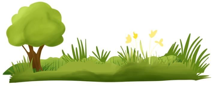 Exploring Colours | EVS for LKG
