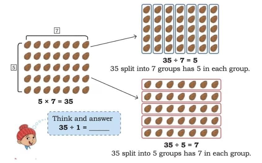 Important Formulas: Coconut Farm | Mathematics (Maths Mela) Class 5 - New NCERT