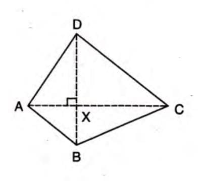Area and Perimeter of Quadrilaterals