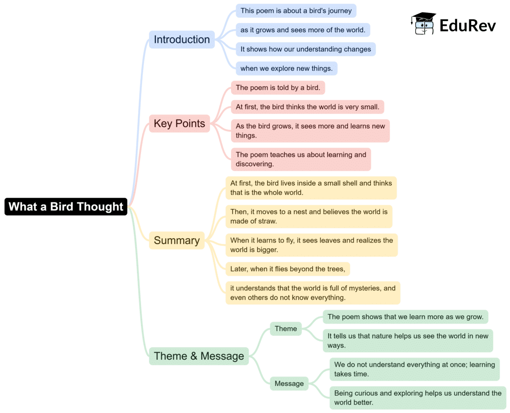 Mindmaps: What a Bird Thought | English for Class 6