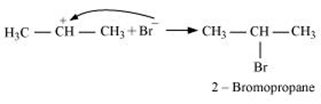 NCERT Solutions Class 11 Chemistry Chapter 9 - Hydrocarbons