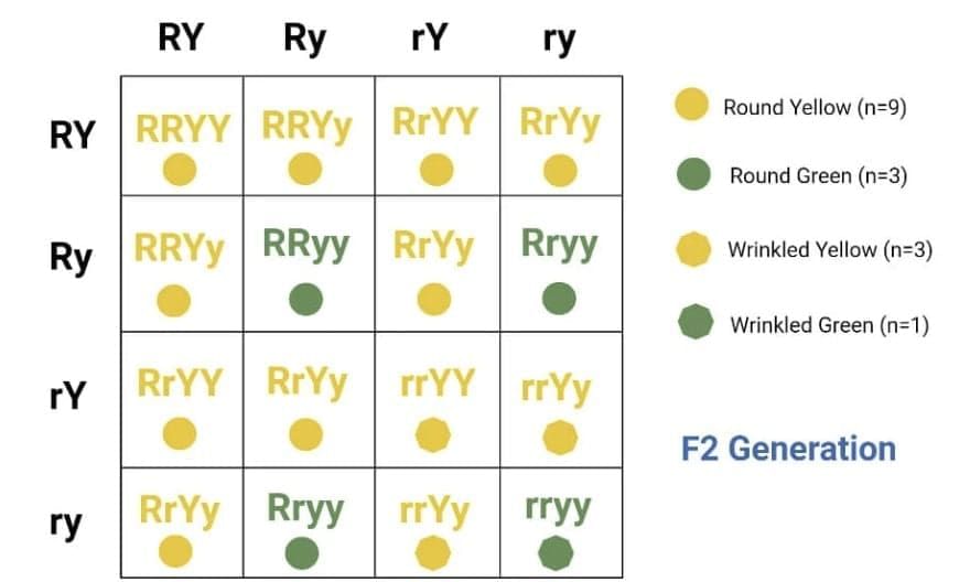 Previous Year Questions 2025