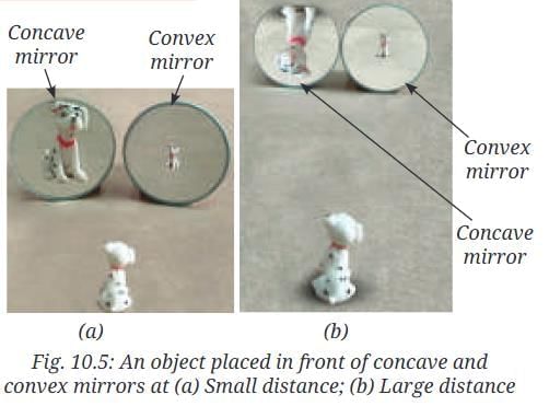 NCERT Based Activity: Light: Mirrors and Lenses | Science Curiosity Class 8 -  New NCERT