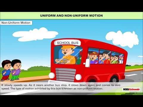 answer Image