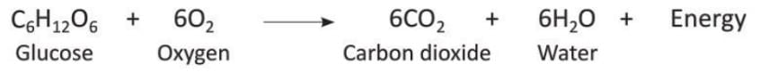 Water Chapter Notes | Chemistry for SSS 2
