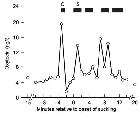 Milk-ejection Reflex