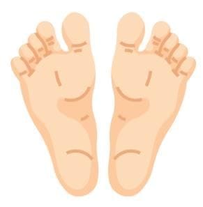 Foot